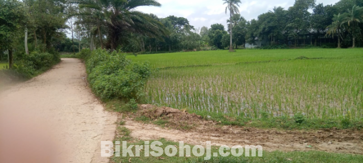 জমি বিক্রি হবে। Land sell